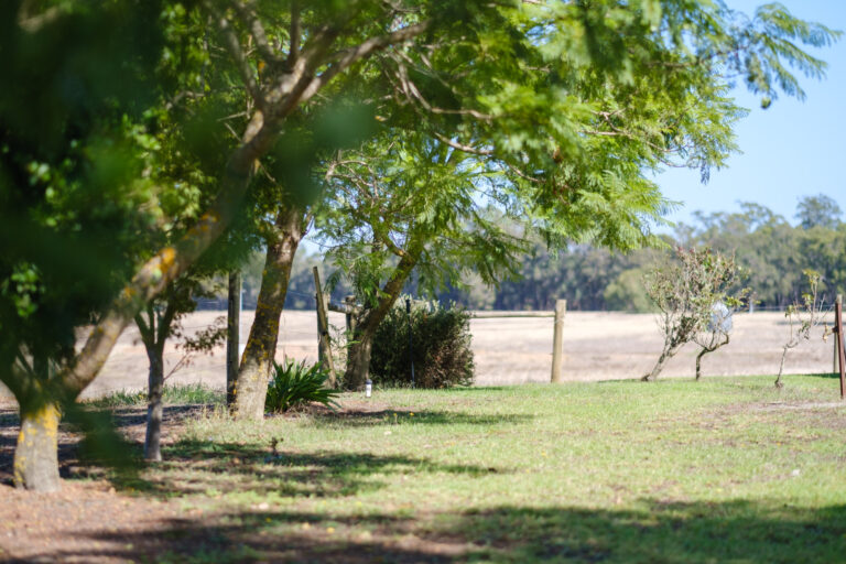 ADV-Catterick-Farm-202503-2000px-DSCF2610