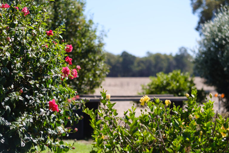 ADV-Catterick-Farm-202503-2000px-DSCF2643