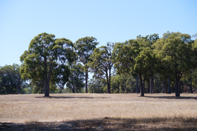 ADV-Catterick-Farm-202503-2000px-DSCF2676